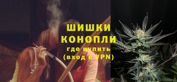 прущие грибы Нея