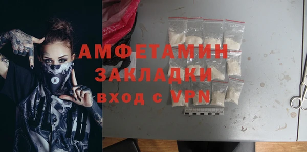 прущие грибы Нея