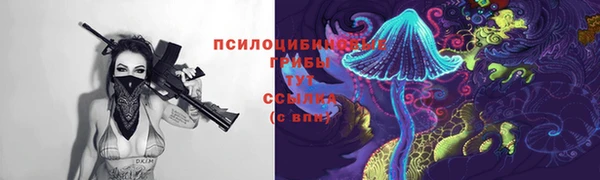 гидропоника Нефтегорск