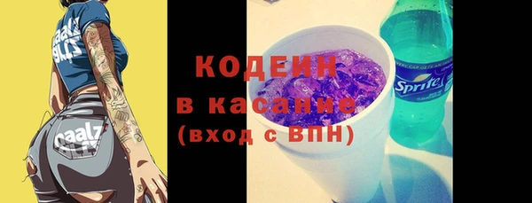 прущие грибы Нея