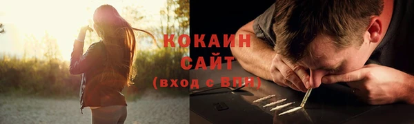 прущие грибы Нея