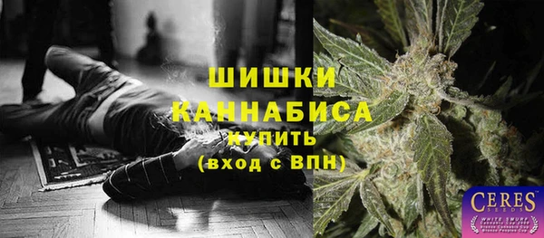 прущие грибы Нея