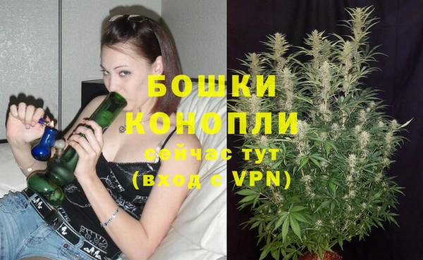 гидропоника Нефтегорск